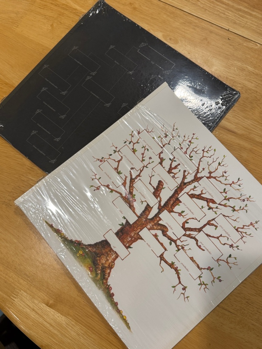 Lot of 2 Creative Memories Family Chart Tree Black White 10 Refill Pages 12x12